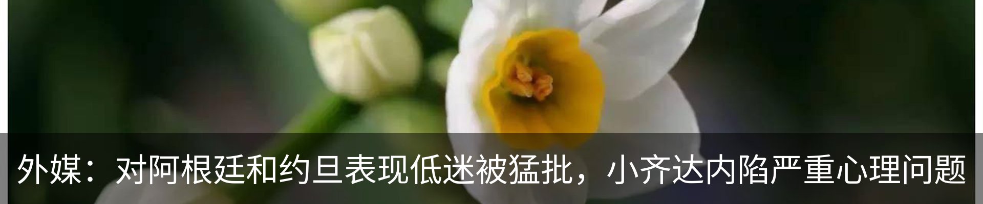 资讯动态
